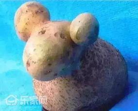 小羊新外观爆料视频,视频爆料带你领略全新风采 第1张 小羊新外观爆料视频,视频爆料带你领略全新风采 第1张